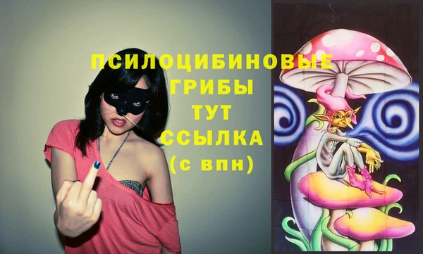 мяу мяу мука Алзамай